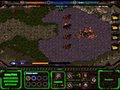 StarCraft 2008 Spiel