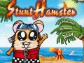 Stunt Hamsters Spiel