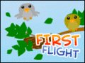 Erstflug Spiel