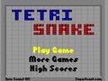 tetrisnake Spiel