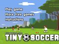 Tiny Soccer Spiel