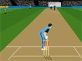Cricket Master Blaster Spiel
