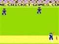 pixel Cricket Spiel