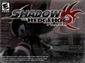 Sonic - shadow the Hedgehog Spiel