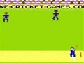 Pixel-cricket Spiel