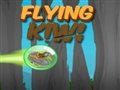 Flying kiwi Spiel