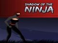 Shadow of the ninja Spiel