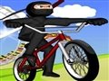 BMX Stunts 2 Spiel