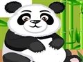 Panda-Pflege Spiel