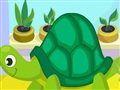 Schildkröteobacht Spiel