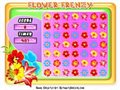 Flower frenzy Spiel